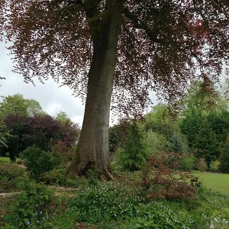 Le Notre Le Domaine Des Jardins De Accommodatie bij particulieren