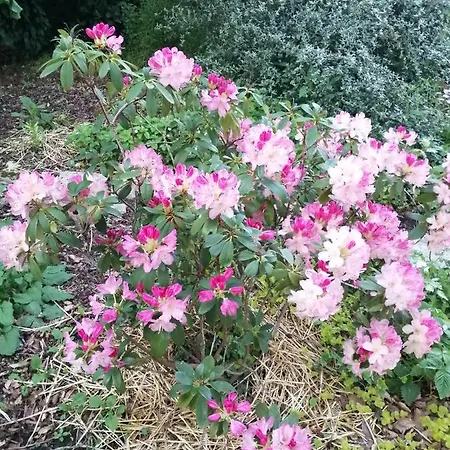 Le Notre Le Domaine Des Jardins De *