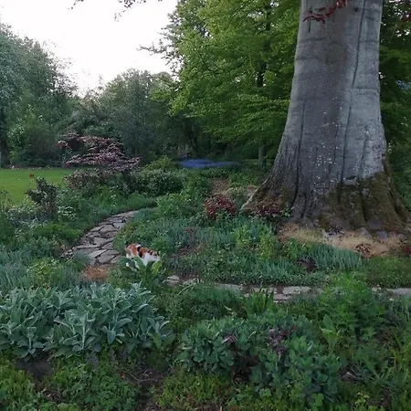 Le Notre Le Domaine Des Jardins De Bracquetuit