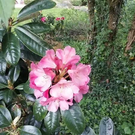 Kwatera prywatna Le Notre Le Domaine Des Jardins De