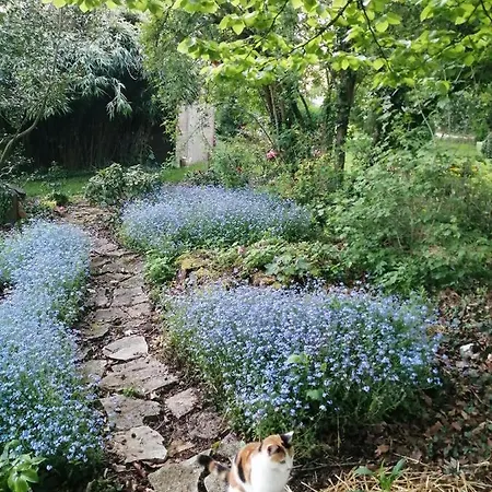 Le Notre Le Domaine Des Jardins De * Bracquetuit
