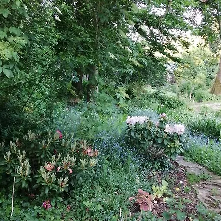 Le Notre Le Domaine Des Jardins De * Bracquetuit