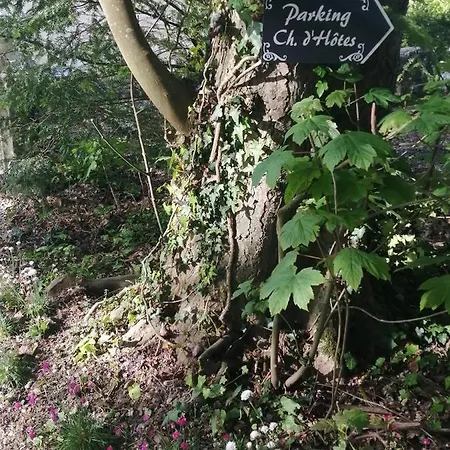 Le Notre Le Domaine Des Jardins De Bracquetuit