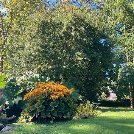 Le Notre Le Domaine Des Jardins De Kwatera prywatna Bracquetuit