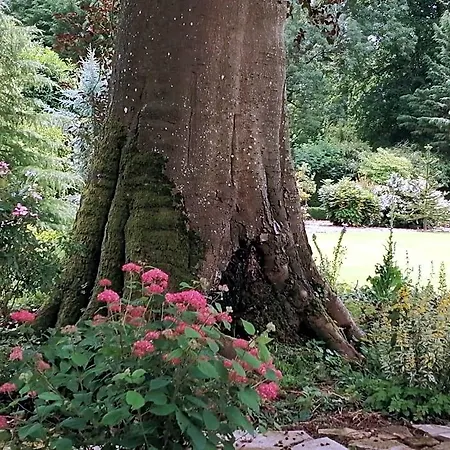 Le Notre Le Domaine Des Jardins De Accommodatie bij particulieren *