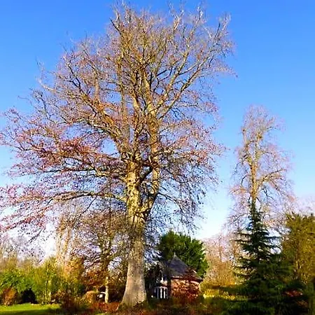 ホームステイ Le Notre Le Domaine Des Jardins De
