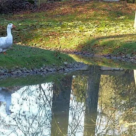 Le Notre Le Domaine Des Jardins De Accommodatie bij particulieren *