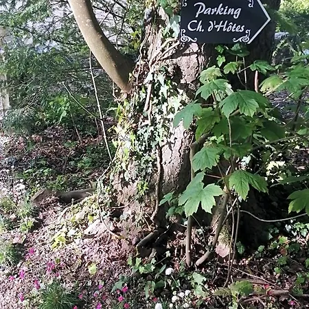 Le Notre Le Domaine Des Jardins De